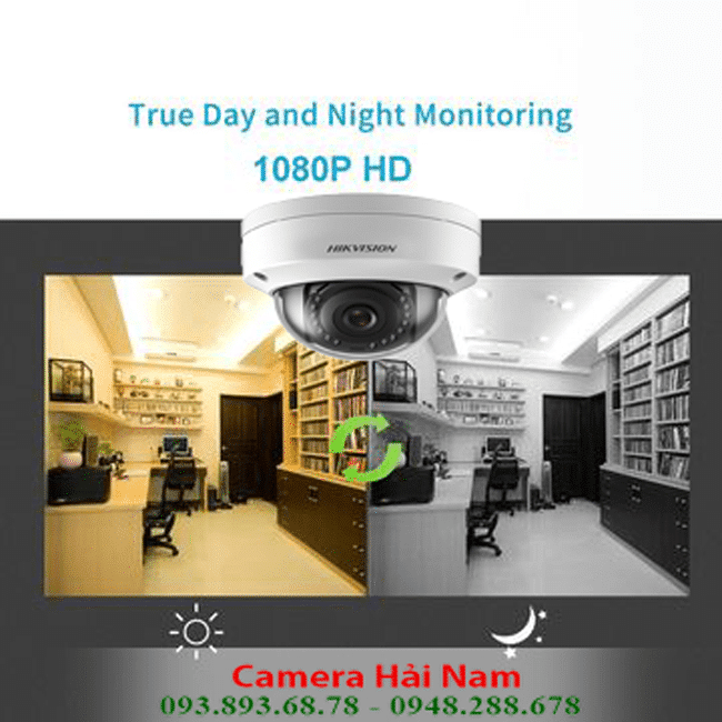 Camera IP Dome Hikvision DS-2CD1121-I 2.8mm 2MP hồng ngoại 30m, IP67